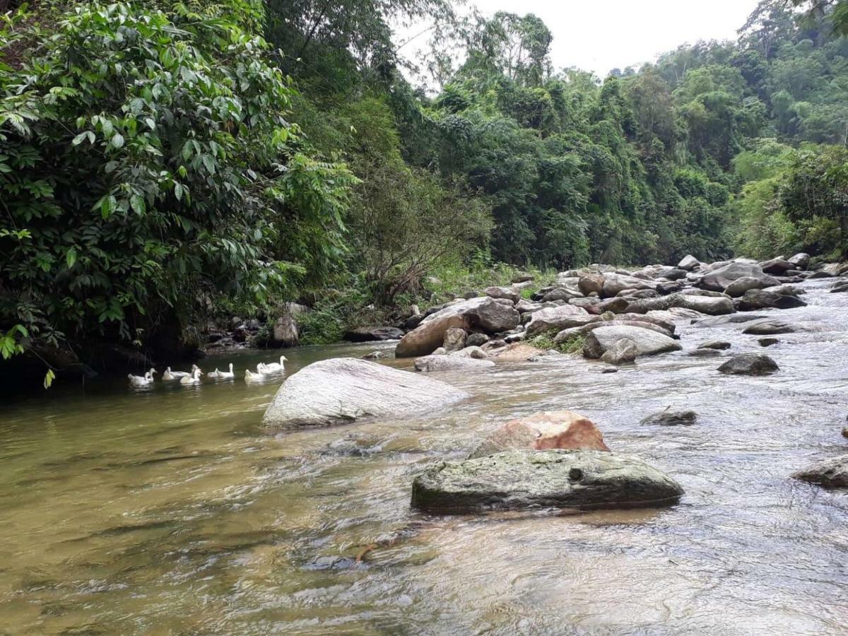Ha Giang Faithien Homestay Экстерьер фото